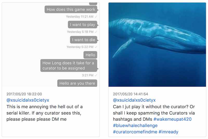Un post trovato su Instagram, di un'aspirante partecipante alla Blue Whale