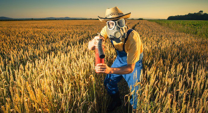 Pesticidi grano