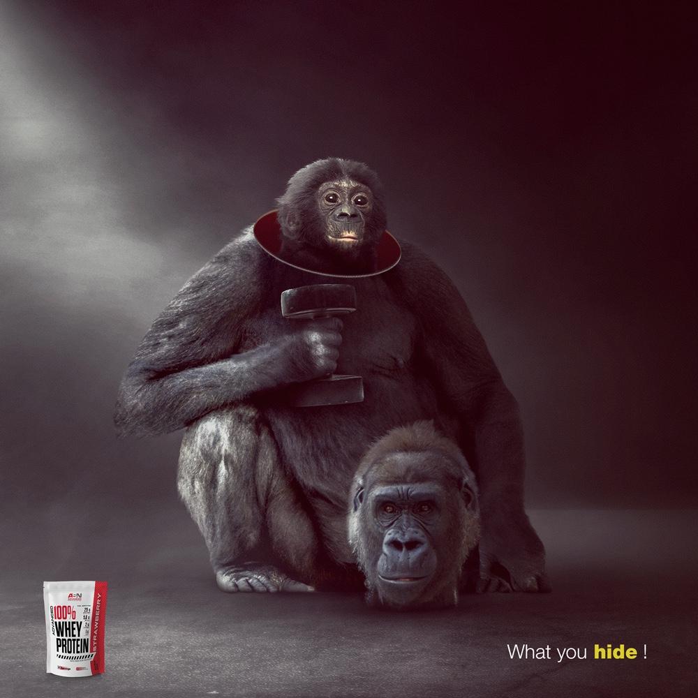 gorilla adv campagne geniali