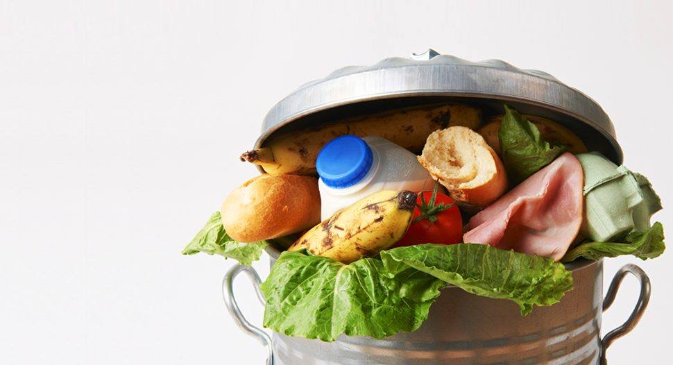 rifiuti cibo-batteri
