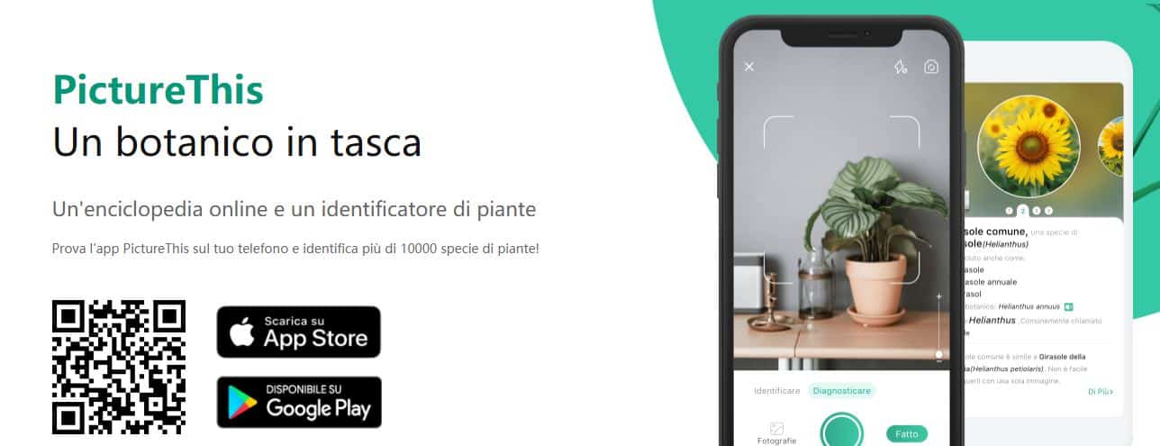 digital tool