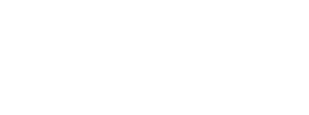 Logo Ninja bianco
