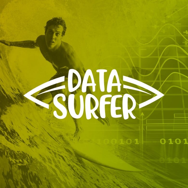 Data Surfer